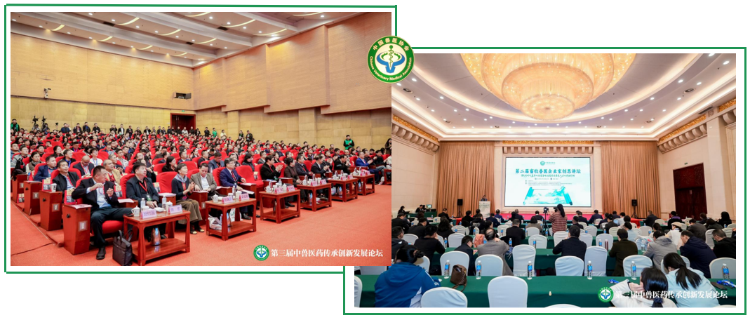 20251113第二屆畜牧獸藥 (7)